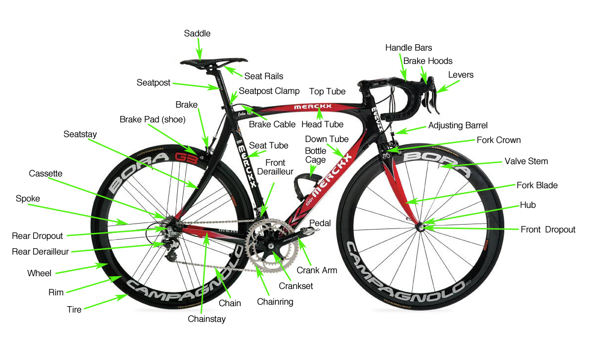Bicycle Parts Diagram
